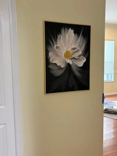 Image #1 from Collector Decor Zone